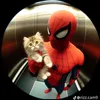 pythem_pauschalpreis