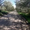 marielaarrieta506