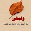 khaled.hemi