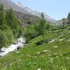 shir.nazar.nazari