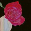 shakeelakhan9442