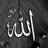 user52750651391560