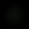 diego_5.6