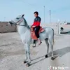user21411023609382