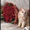 amina_mayez_