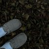 lovelycoral0296