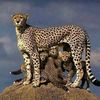 mohe.degu.welo8