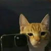 toastie8883