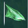 abozaher06