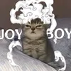 _rqz0