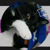 xbise_006