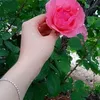 user5923790031803