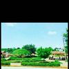 www.tiktok.comsiyovle