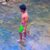 jay_wild_life