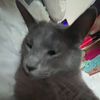 lolas_2cool