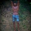 el.kali20