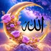 user8687325862975