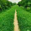 yosif.habal