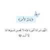 nourmagdy87