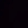 sarapmo_fia