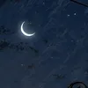 ly_1234231