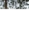 jovel.panunciartiktok