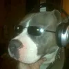 darksoundszz