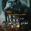 user8636795877116