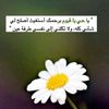 user433248087863