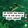 user6139743360037