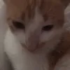 hmiu