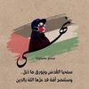 noha.kamel74