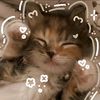 nur_pdg