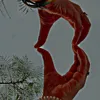 anti__khan_369