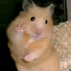 ghienemxinhsayhi