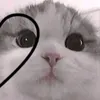 chrizzalheyanidem