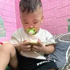 lvminh24