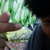 gkadnmny1
