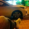 29_hoang_phat