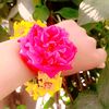 khani7397