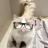 beboditbu