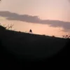 no_idea_283