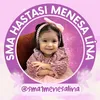 save_menesalina