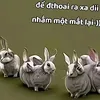 bat_scamerti10k1