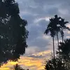 parkvtaeqrh