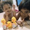 comeng.comeng43