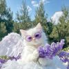 user600870813518