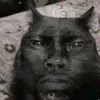 silva__ww1