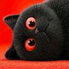 aing_saepudin