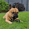 user711330492084